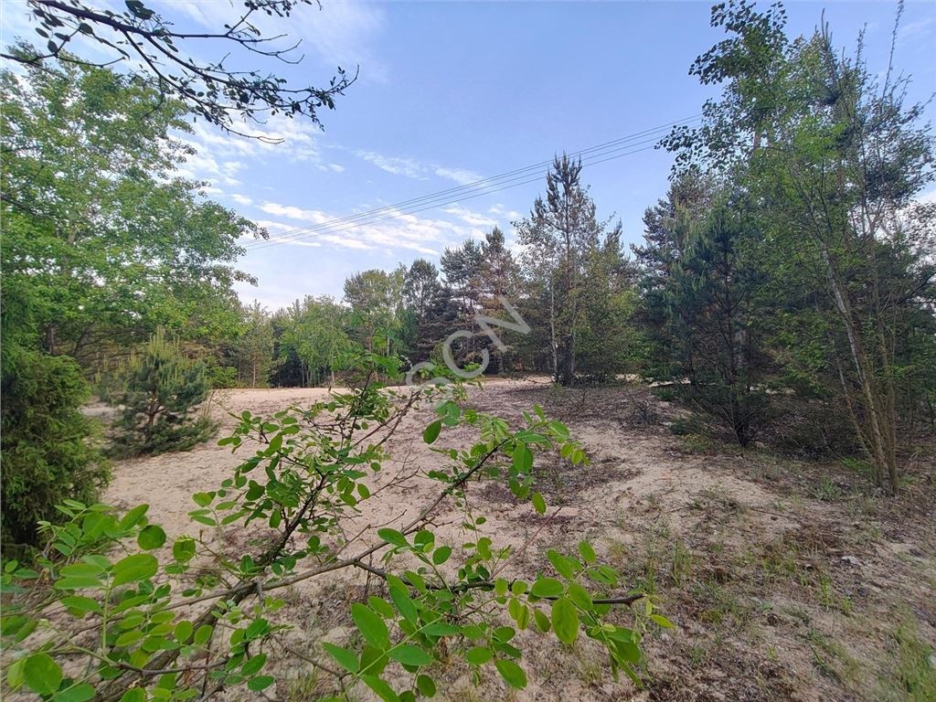 Działka na sprzedaż, 1800 m², Wieliszew Michałów-Reginów, Wieliszew