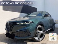Alfa Romeo Stelvio 1.6 Sport Speciale 1.6 Sport Speciale (130 KM) Matrix FULL LED z systemem