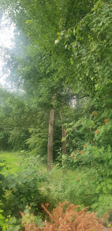 Działki początek dzielnicy Swoszowice o pow. 15 ar budowlana z WZ ką. - Widok 2