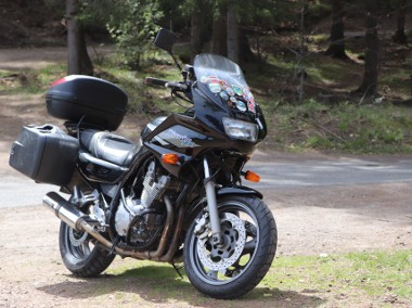 900 Diversion 1995-1