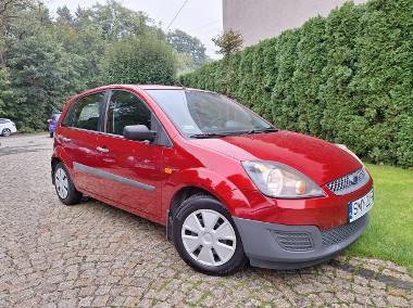 Ford Fiesta VI-1