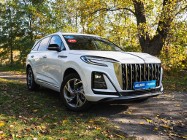 Inna Inny , Salon Polska, 1. Właściciel, Serwis ASO, Automat, VAT 23%,