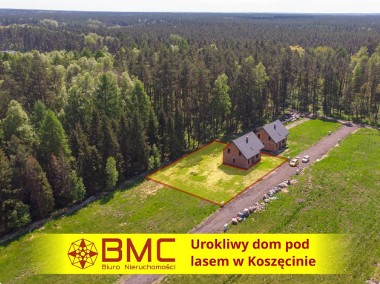 Uroczy dom pod lasem w Koszęcinie-1