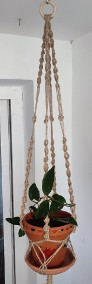 Roślina: Hoya Carnosa w terakotowej doniczce w makramie ze sznurka jutowego-3