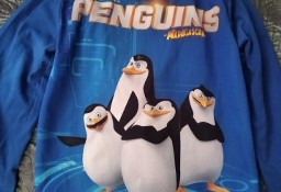 Bluzka chłopięca Pingwiny z Madagaskaru 