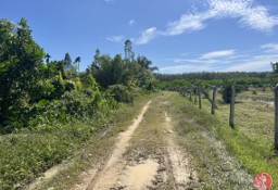 Działka inna Phang Nga