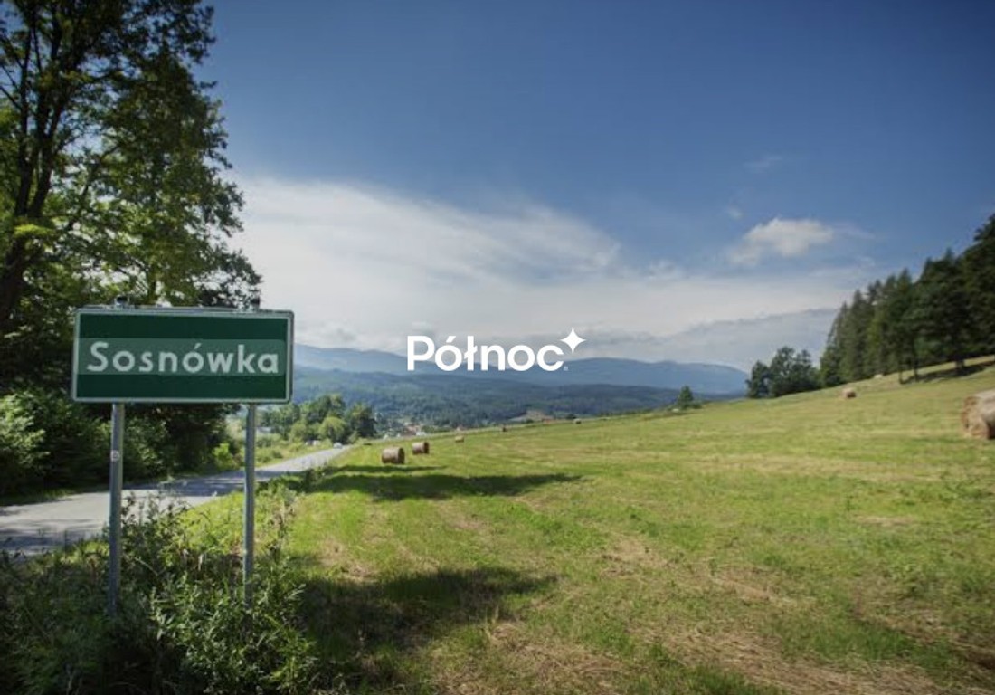7 - Działek z WZ Czerwona Dolina Sosnówka. - Widok 3