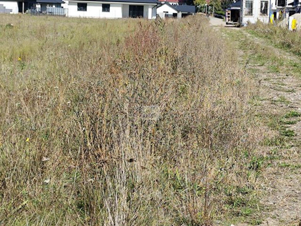 Działka na sprzedaż, 3153 m², Klembów Dobczyn – pohled 4