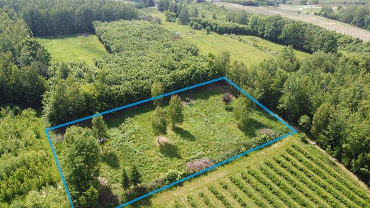 Działka 3580 m² w Kazimierzu Dolnym 4 km od rynku. - Widok 2