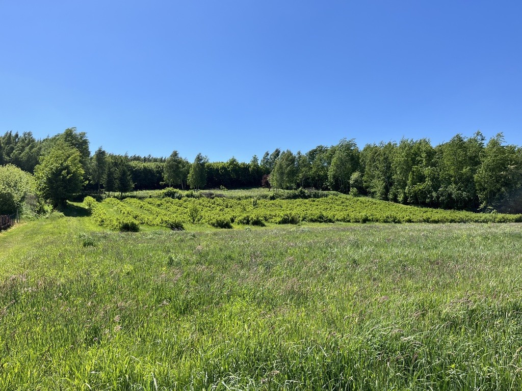 Działka 3580 m² w Kazimierzu Dolnym 4 km od rynku. - Widok 3
