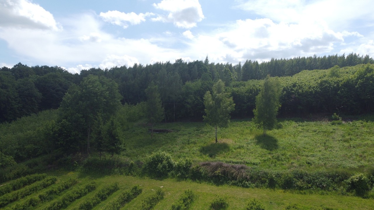 Działka 3580 m² w Kazimierzu Dolnym 4 km od rynku. - Widok 4