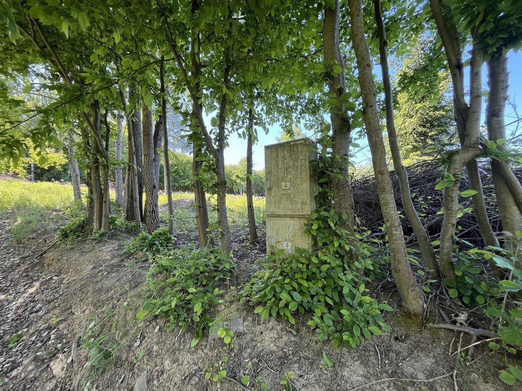 Działka 3580 m² w Kazimierzu Dolnym 4 km od rynku. - Widok 5