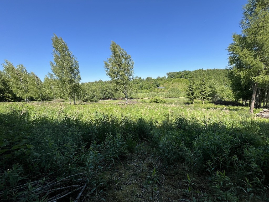 Działka 3580 m² w Kazimierzu Dolnym 4 km od rynku. - Więcej