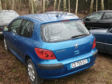 Peugeot 307 I 1.6 XS-2