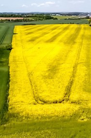 DZIAŁKA ROLNA ZLOKALIZOWANA PRZY AUTOSTRADZIE A1-2