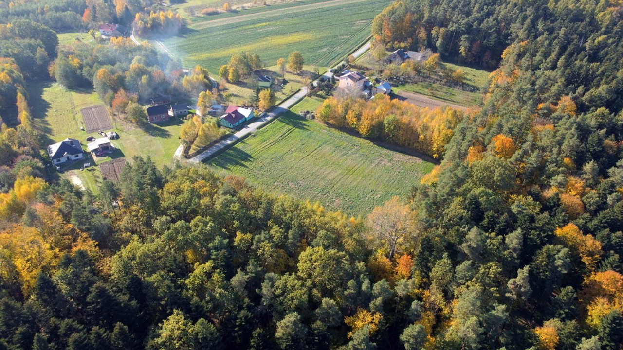 Działka o pow.15,5ar z wydanymi Warunkami Zabudowy - Widok 5
