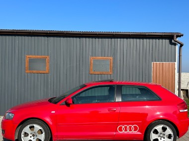 Audi A3 II (8P)-1