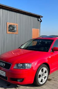 Audi A3 II (8P)-2