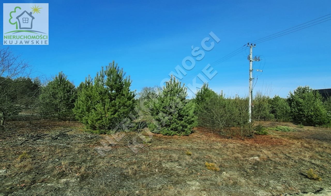 DZIAŁKA 1683,0M2 POD BUDOWNICTWO JEDNORODZINNE, DĘBNIAKI, GMINA KOWAL - Widok 3