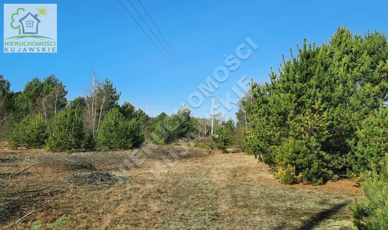 DZIAŁKA 1683,0M2 POD BUDOWNICTWO JEDNORODZINNE, DĘBNIAKI, GMINA KOWAL - Widok 5