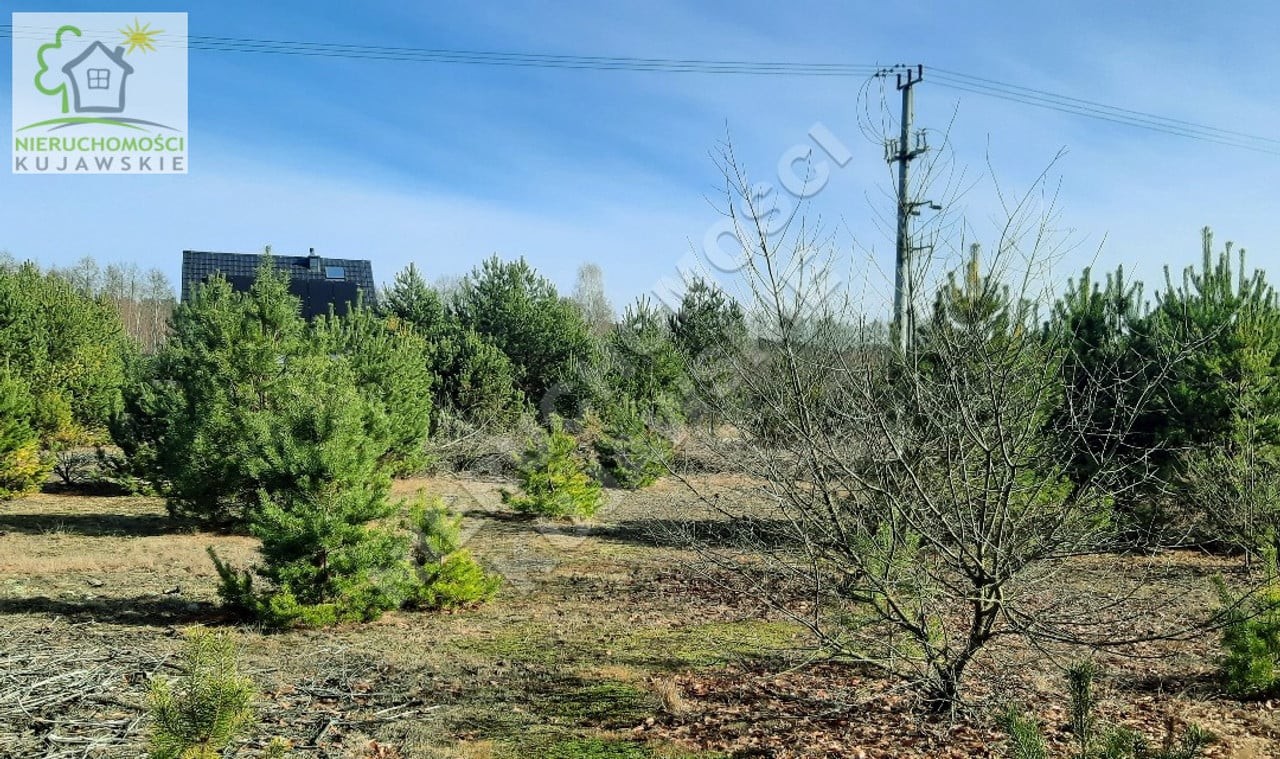 DZIAŁKA 1683,0M2 POD BUDOWNICTWO JEDNORODZINNE, DĘBNIAKI, GMINA KOWAL - Widok 6