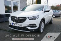 Opel Grandland X polski salon , atrakcyjny przebieg, I rej. marzec 2018 r.