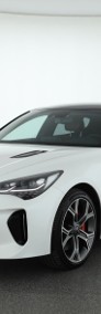 Kia Stinger Salon Polska, Serwis ASO, Automat, Skóra, Navi, Klimatronic,-3