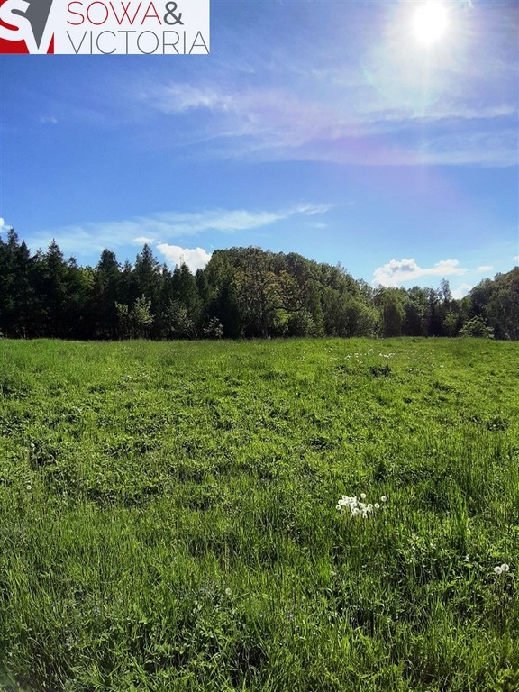 Działka w Cieszowie - Widok 4