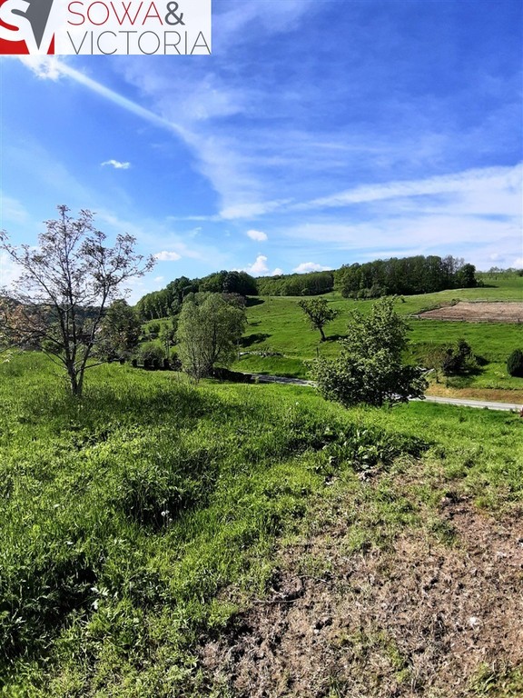 Działka w Cieszowie - Widok 5