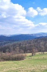 Panorama Góry Sowie, Zamek Grodno-2
