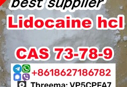 China Factory CAS 73-78-9 Lidocaine Hydrochloride door to door
