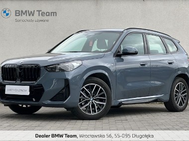 BMW X1-1