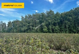 Działka budowlana Powązki, ul. Dębowa