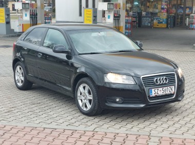 Audi A3 1.6MPI LIFT Tarnów-1