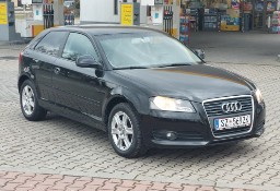 Audi A3 II (8P) Audi A3 1.6MPI LIFT Tarnów