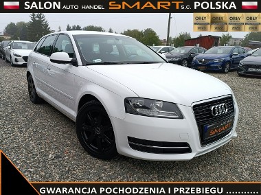 Audi A3 II (8P) Benzyna / Climatronic / Alufelgi-1