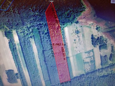 Dwie działki leśne 4,93 ha w gm. Pierzchnica.-1