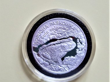 20 zł 1998 r. Ropucha Paskówka-1