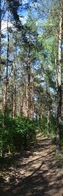 Działka leśna z prawem budowy Goreń Duży-4