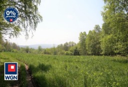 Działka przemysłowa Lądek-Zdrój, ul. Mickiewicza