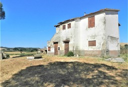 Dom Tarquinia