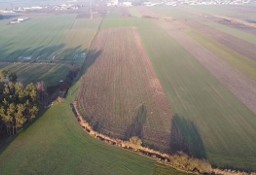 Działka usługowa Borek Wielkopolski
