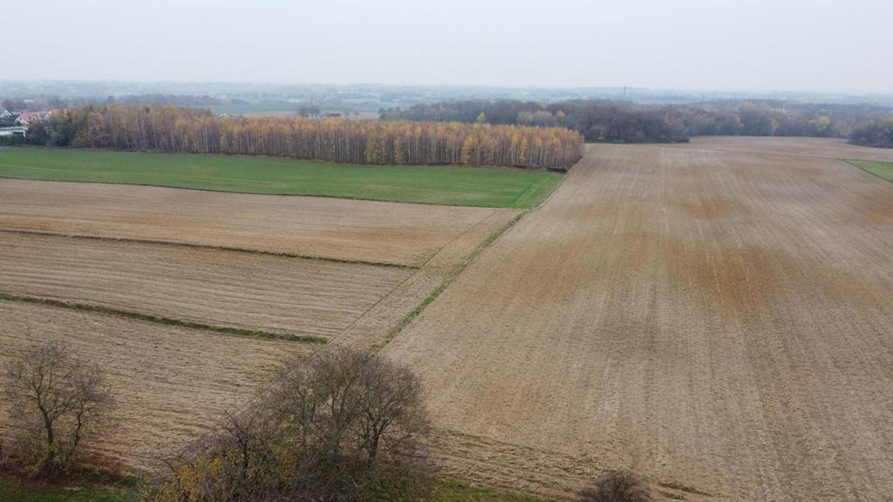 Smugi, 32 ar, blisko Lublina - View 2