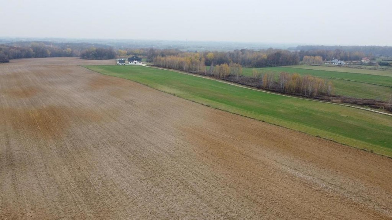 Smugi, 32 ar, blisko Lublina - View 3