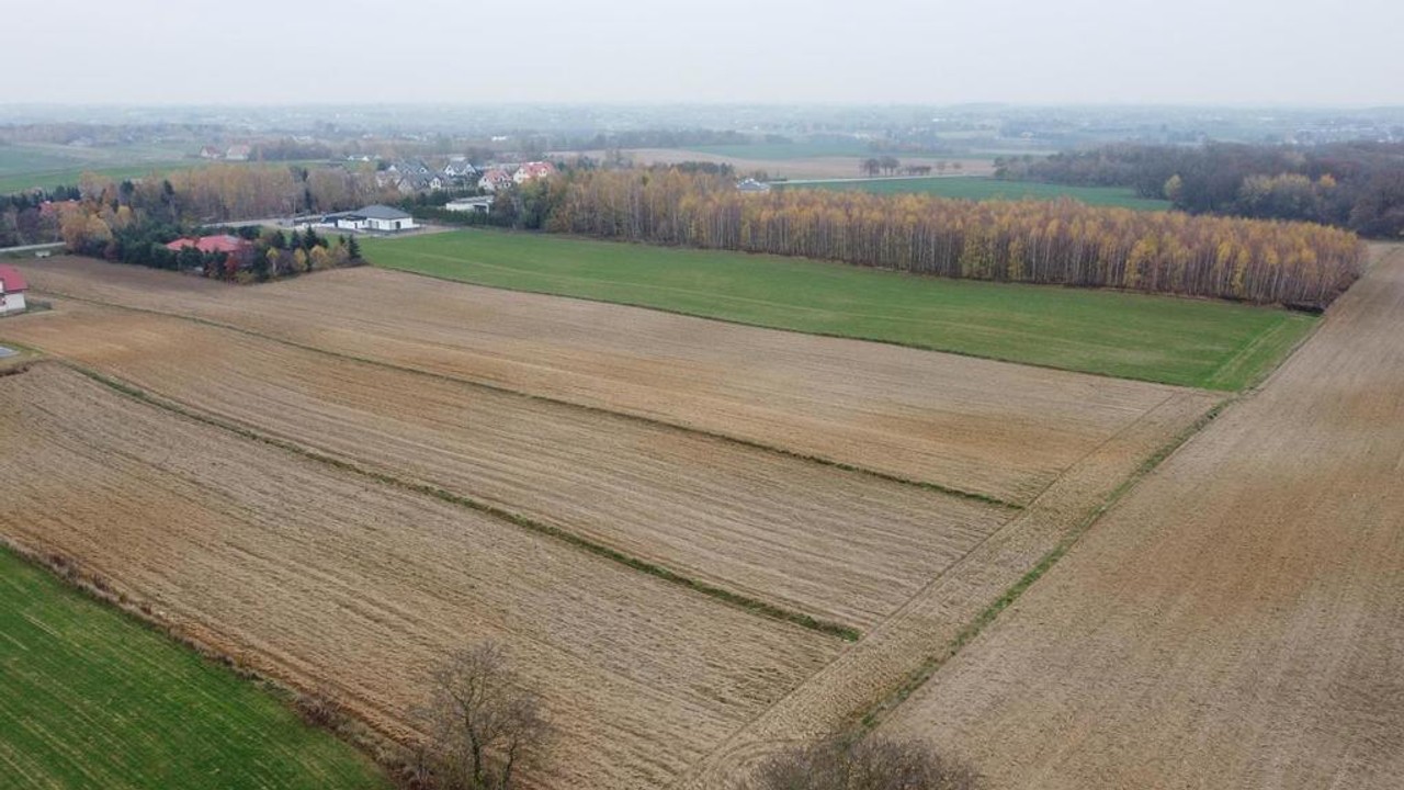 Smugi, 32 ar, blisko Lublina - View 4