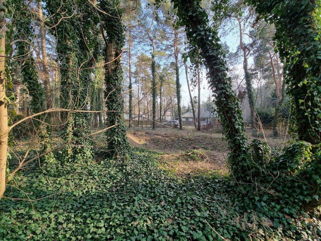 Działka 300m od Wkd Podkowa Leśna Zachodnia - Widok 2