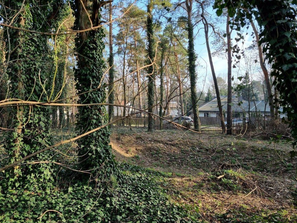 Działka 300m od Wkd Podkowa Leśna Zachodnia - Widok 3