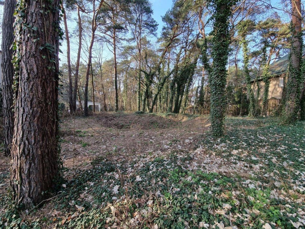 Działka 300m od Wkd Podkowa Leśna Zachodnia - Widok 4