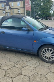 Ford Streetka 1,6 benzyna 95 KM Cabrio Klimatyzacja Zarejestrowany-2