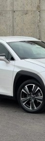 Lexus UX 300h Business 300h Business 2.0 199KM | System martwegopola-3